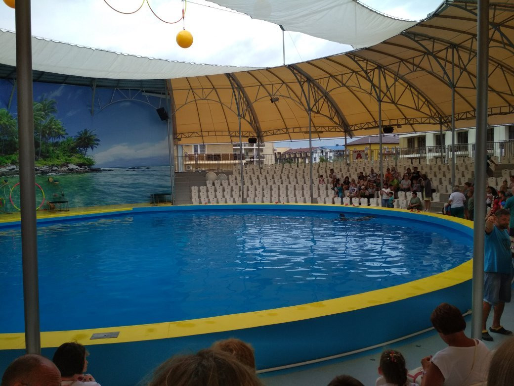 Dolphinarium景点图片