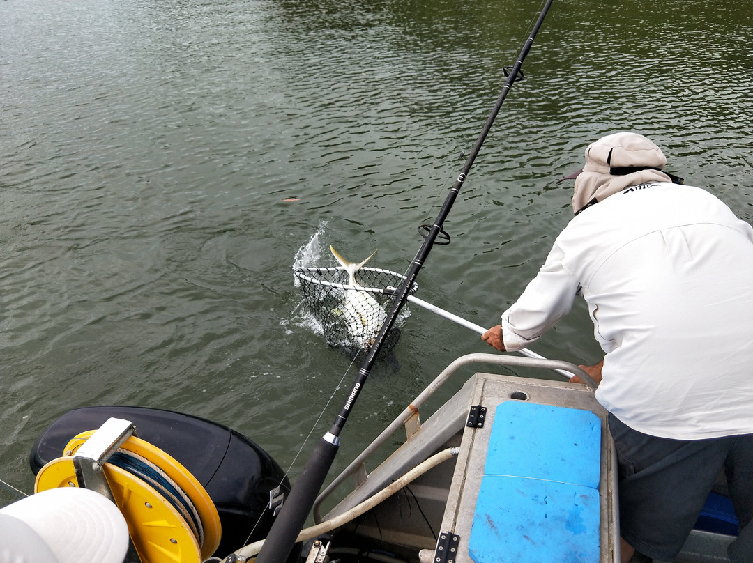 Daintree River Fishing & Photography Tours景点图片