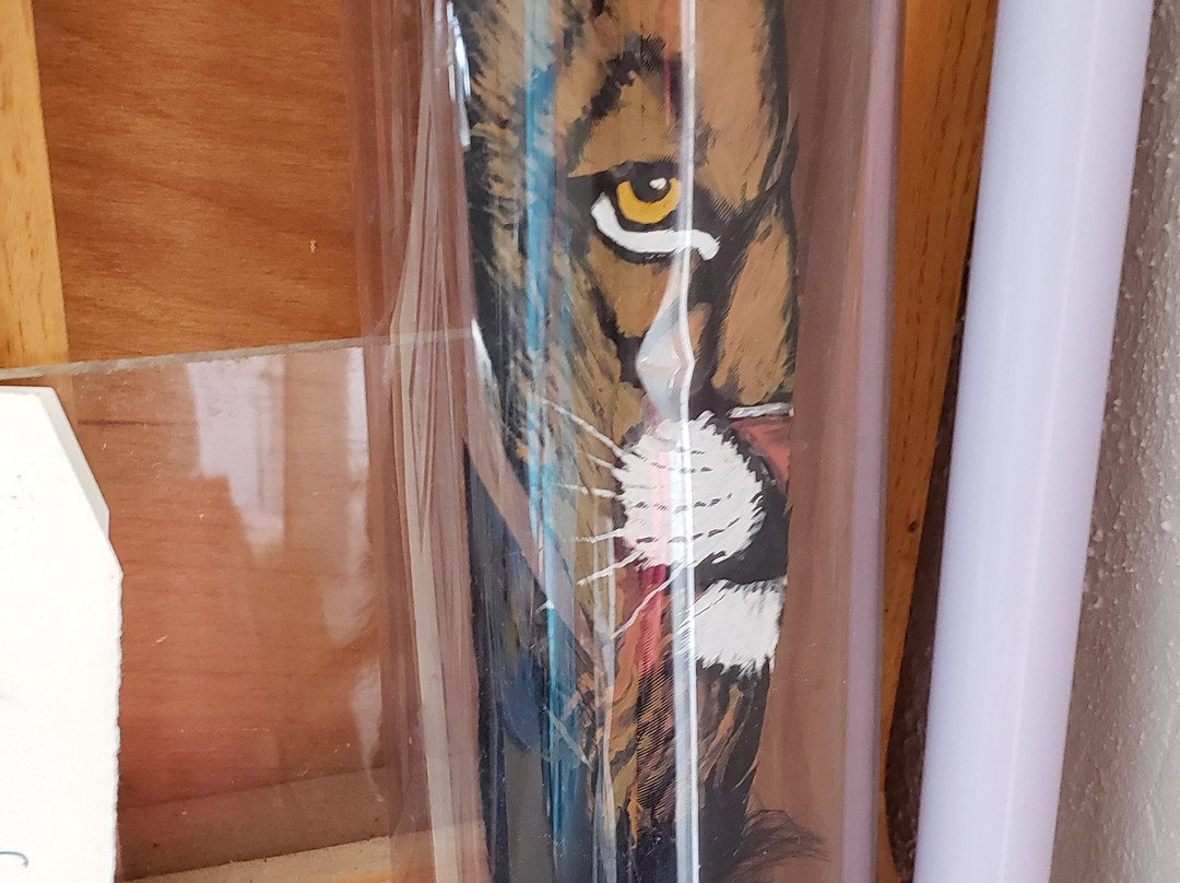 The Glass Outhouse Art Gallery-二十九棕榈村必去景点