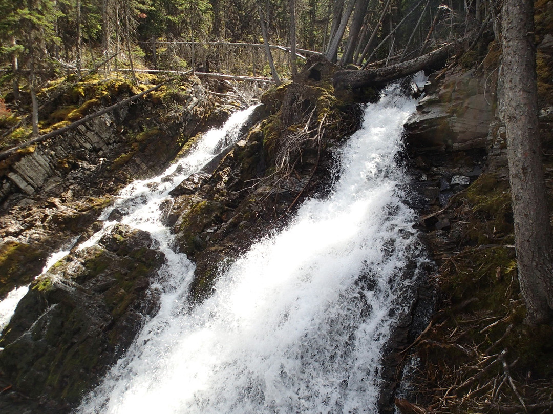 Upper Kananaskis Lake景点图片