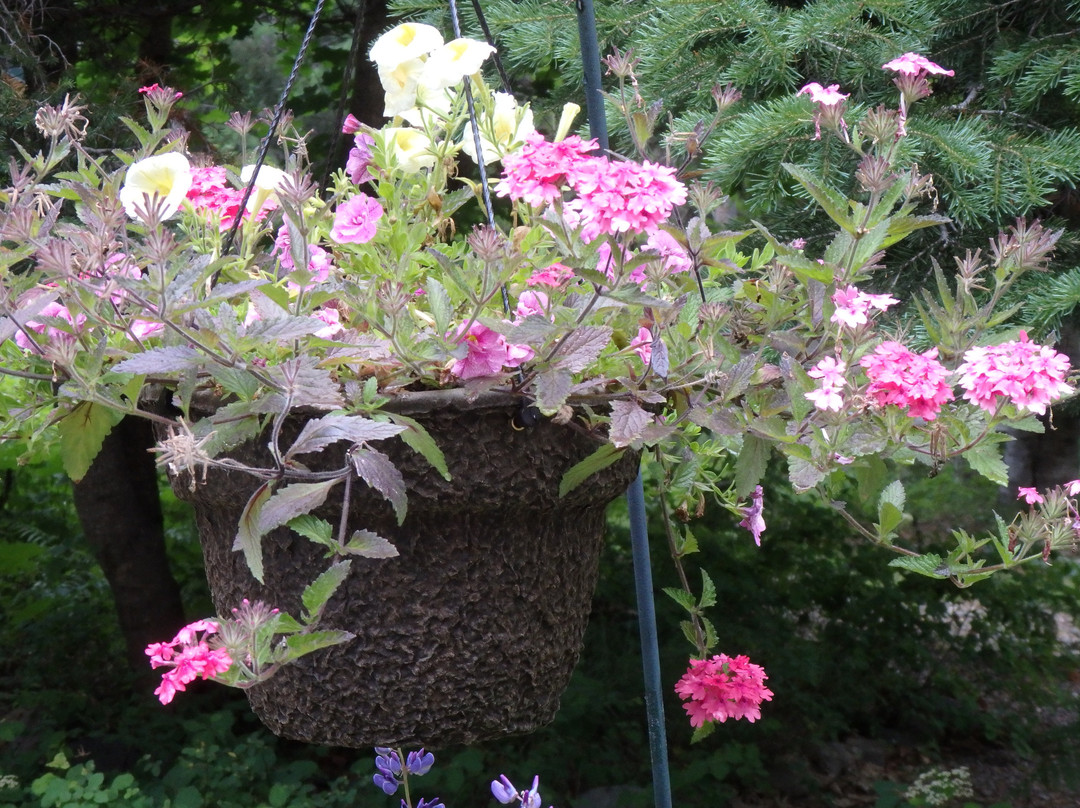 Moss Mountain Inn主图