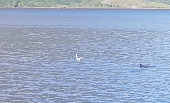 Øksfjordjøkelen-Loppa Municipality必去景点