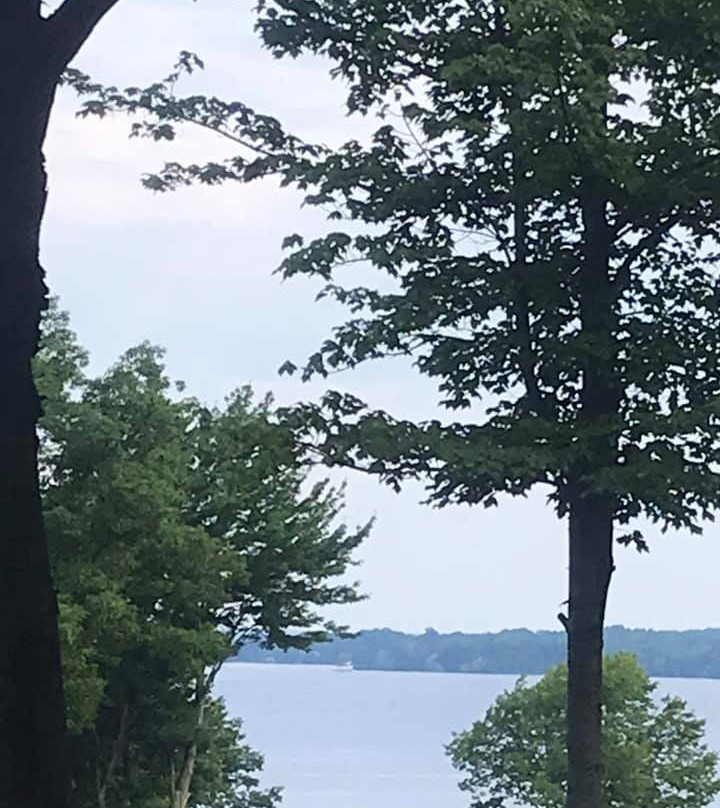 West Winds Motel & Cottages主图