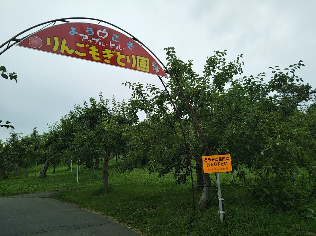 Michi-no-Eki Namioka Apple Hill-青森市必去景点