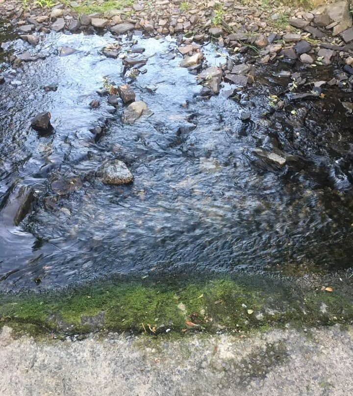 Felin Carrog Cottages主图