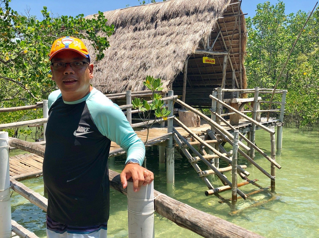 Suyac Island Mangrove Eco-Park景点图片