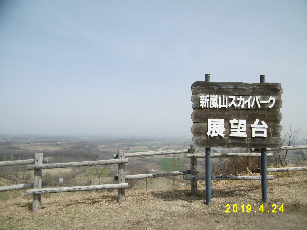 Shin Arashiyama Sky Park Observatory景点图片