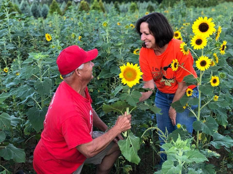 Yule Forest-Stockbridge必去景点