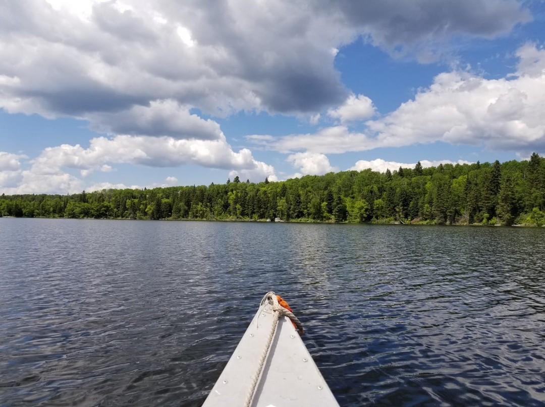 Log Cabin Inn Bed & Breakfast主图