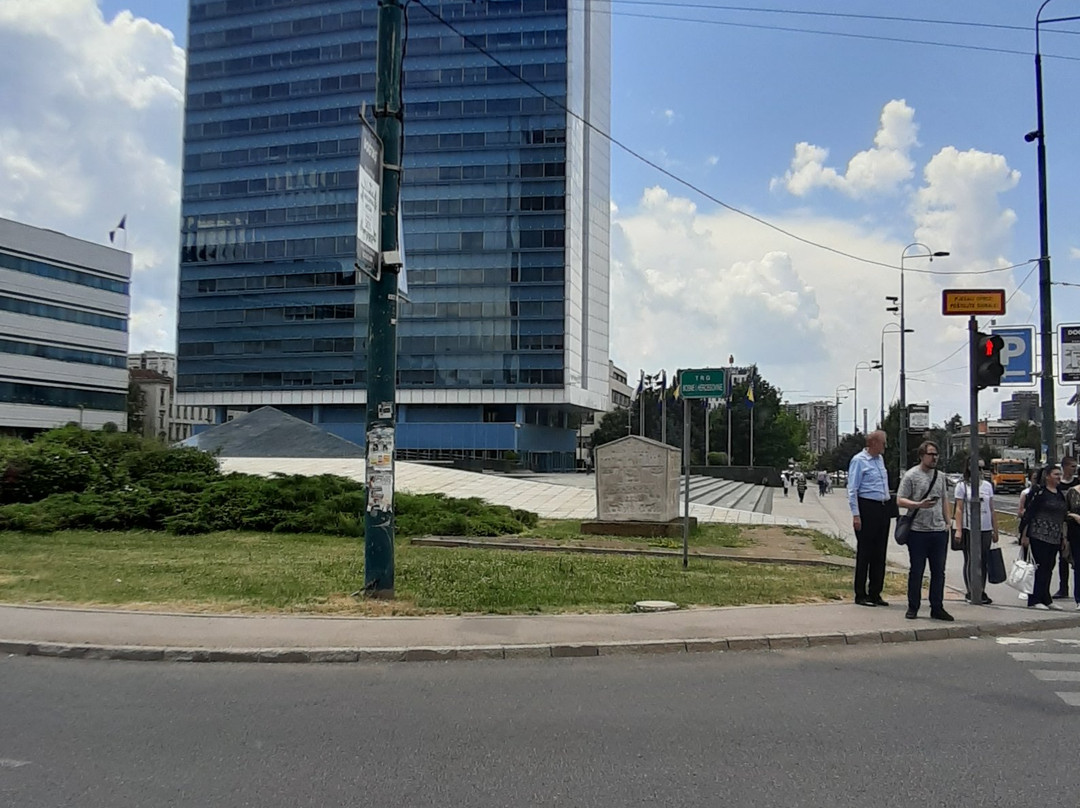 BiH Parliament Building景点图片