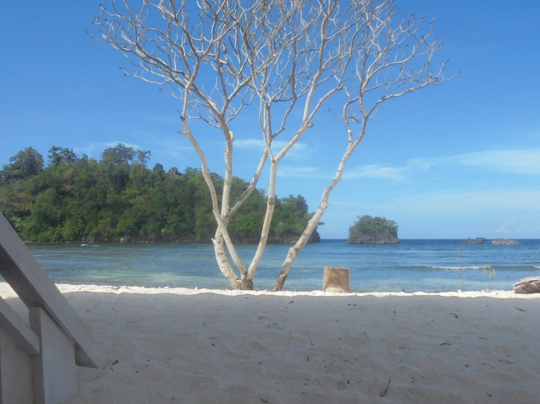 Central Sulawesi旅游攻略图片