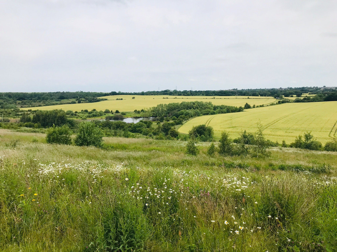 Rabbit Ings Country Park