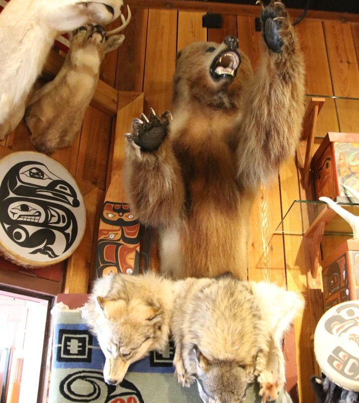 Tripp's Mt. Juneau Trading Post-朱诺必去景点