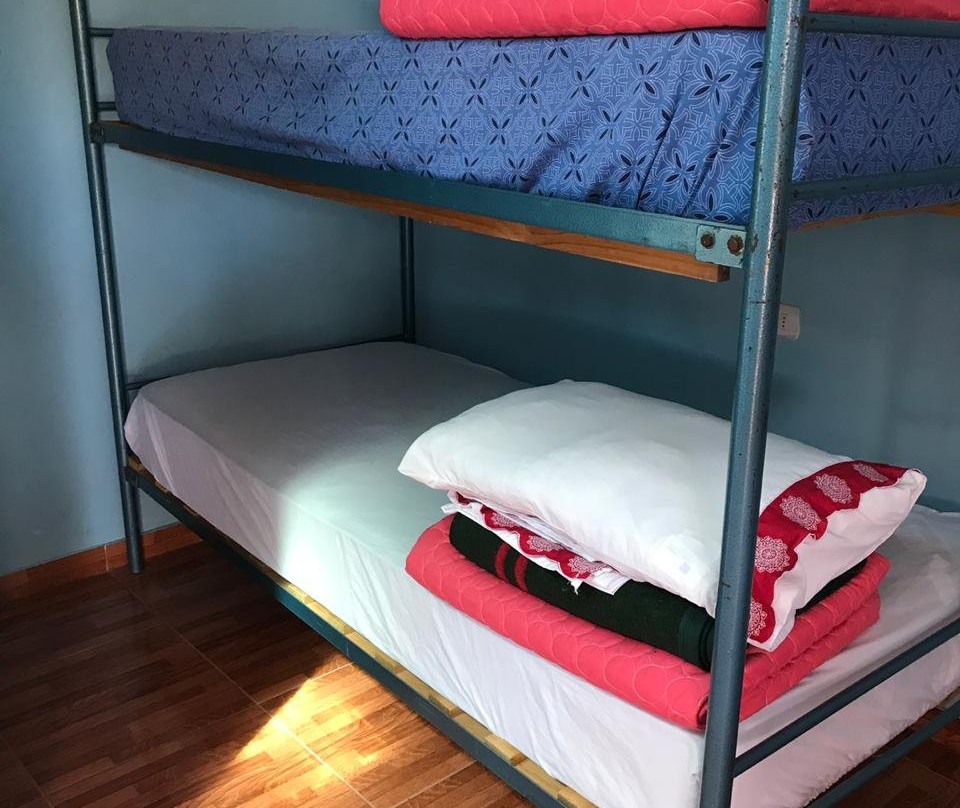 El Amigo Lucho主图