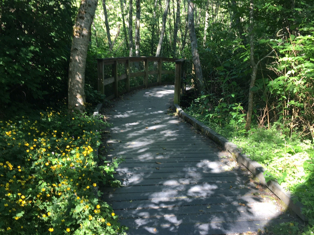 Narbeck Wetland Sanctuary Park景点图片