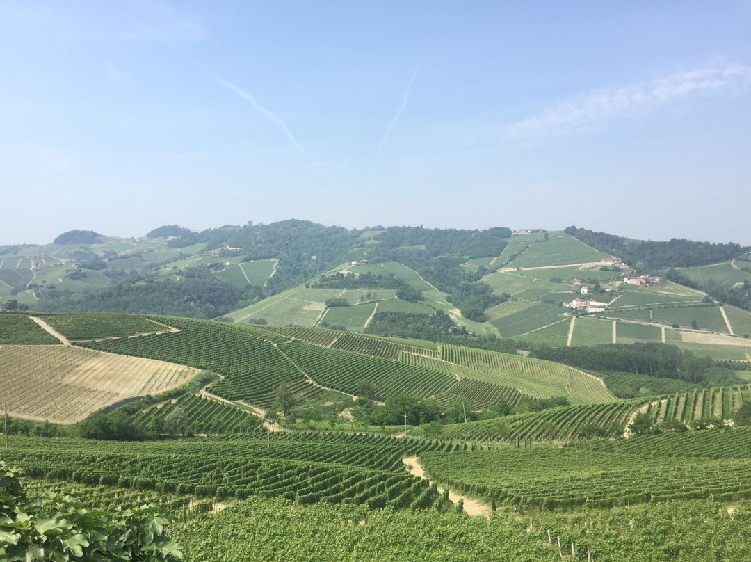Cantina Luigi Pira景点图片