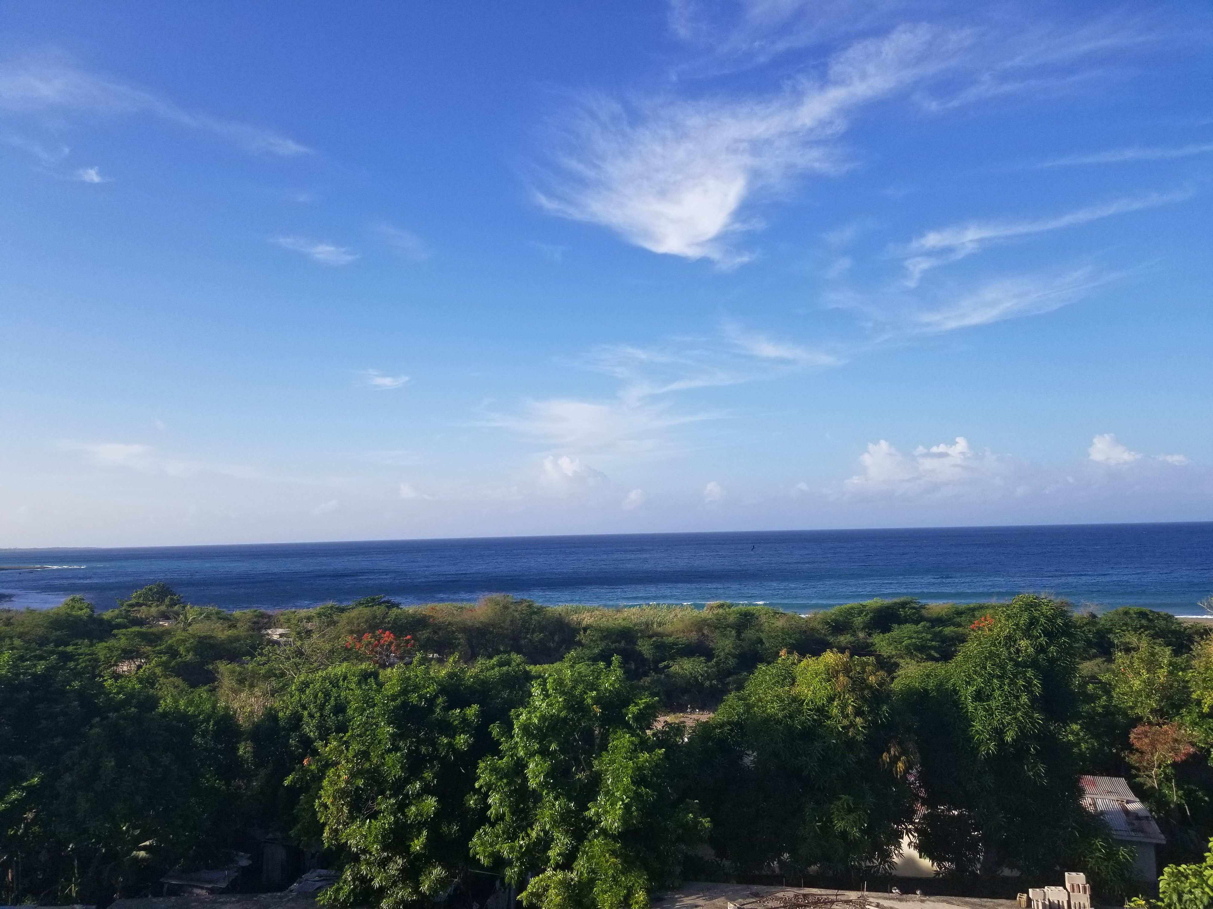 Scarlett Guest House-官方