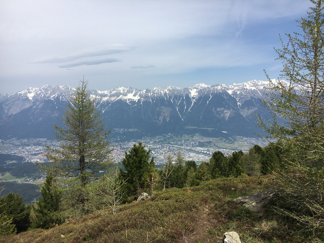 Gasthof Steixner主图