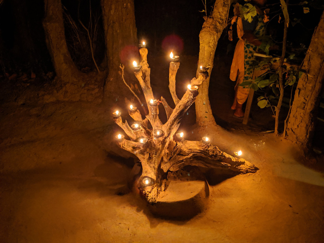 Kanha Jungle Lodge主图