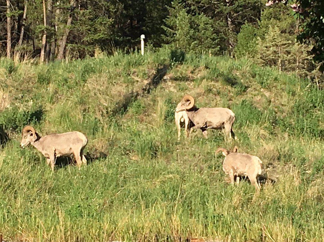 Rocky Mountain Springs Lodge and Restaurant主图