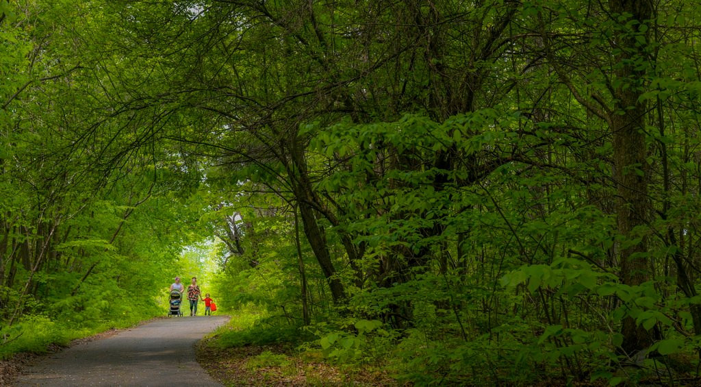 Waterfront Trail-康沃尔必去景点