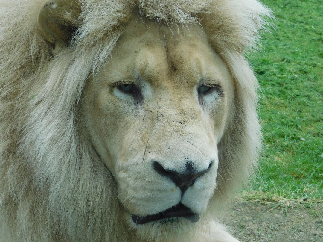 Zoo de Jurques景点图片