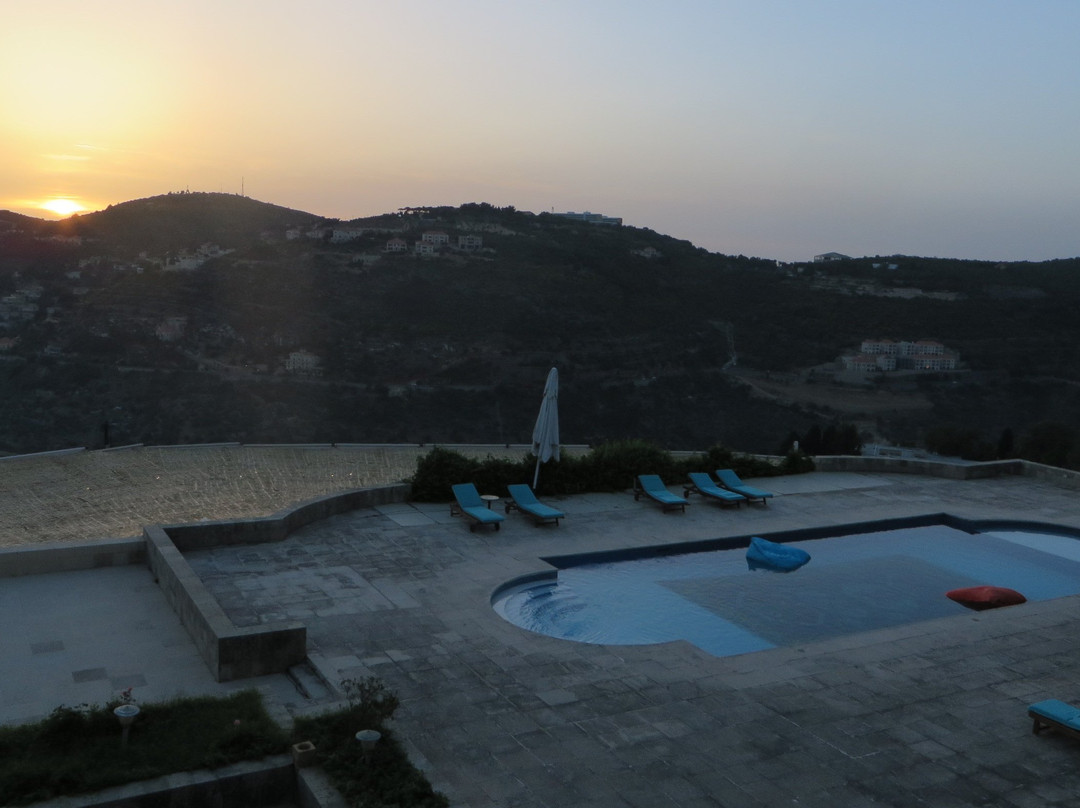 Mir Amin Palace Hotel主图