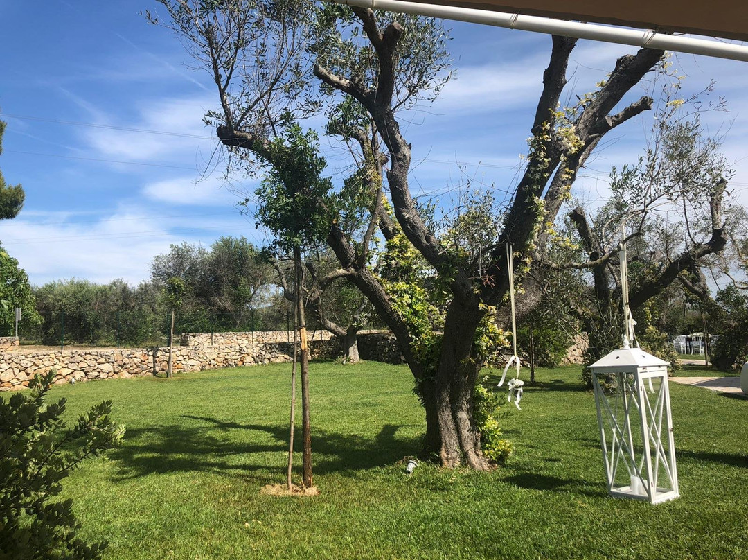 Masseria Relais Santa Teresa主图