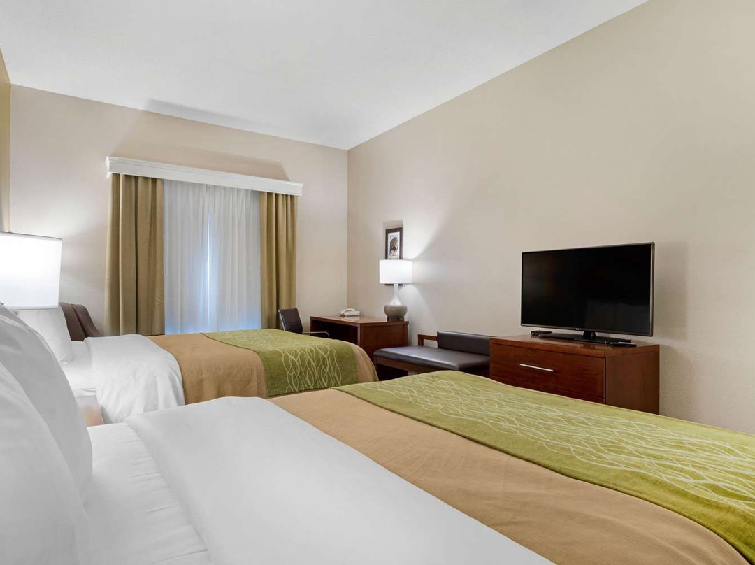 Comfort Inn & Suites Port Arthur - Port Neches主图