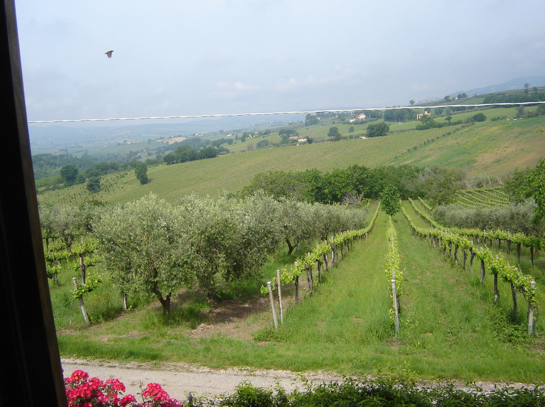 B&B Casa Laura主图