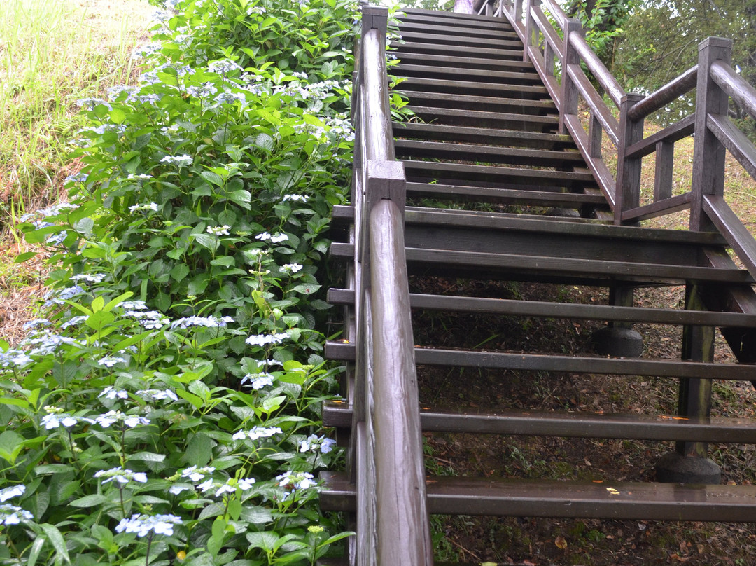 Ajisai Park-都城市必去景点