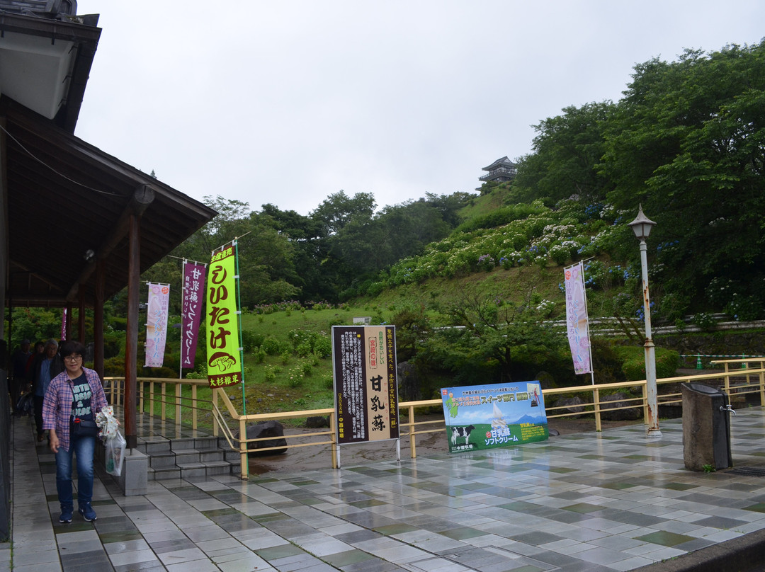 Ajisai Park-都城市必去景点
