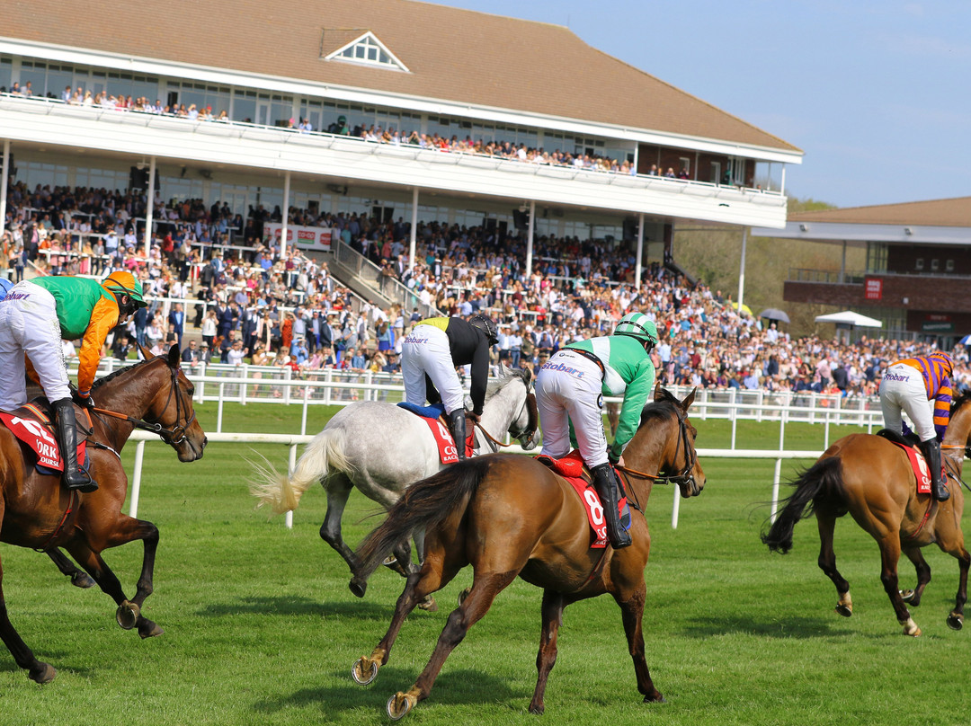 Cork Racecourse Mallow-Mallow必去景点