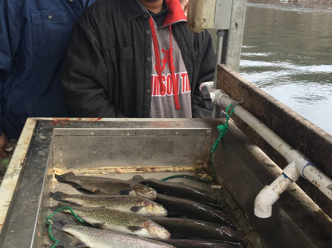 Branson Fishing Adventures-Hollister必去景点