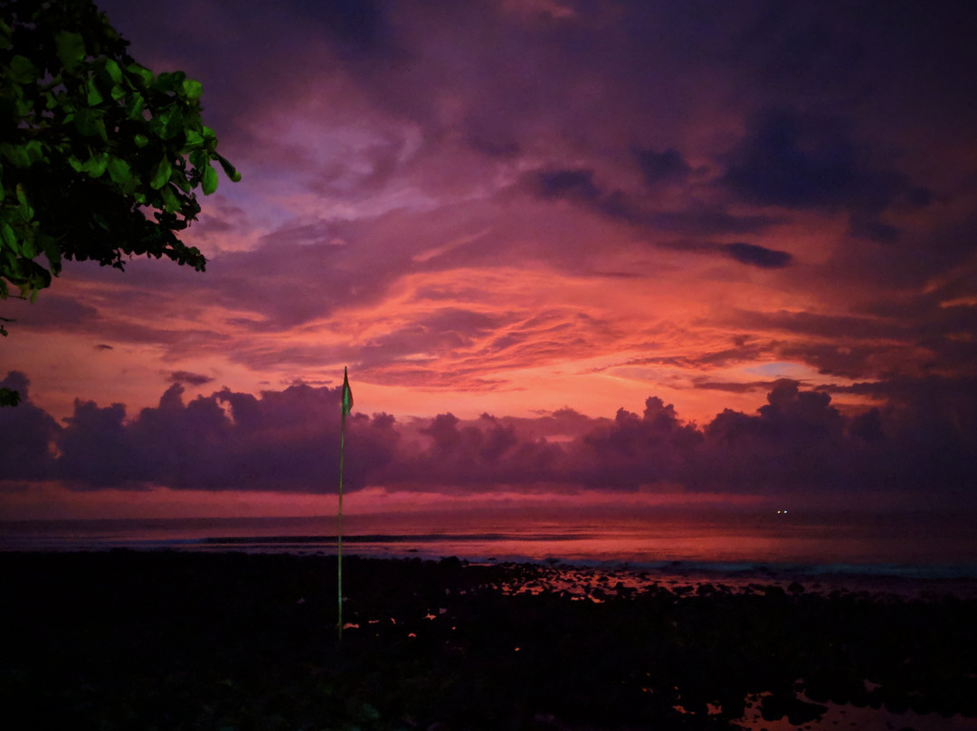 Medewi Surf Lodge主图