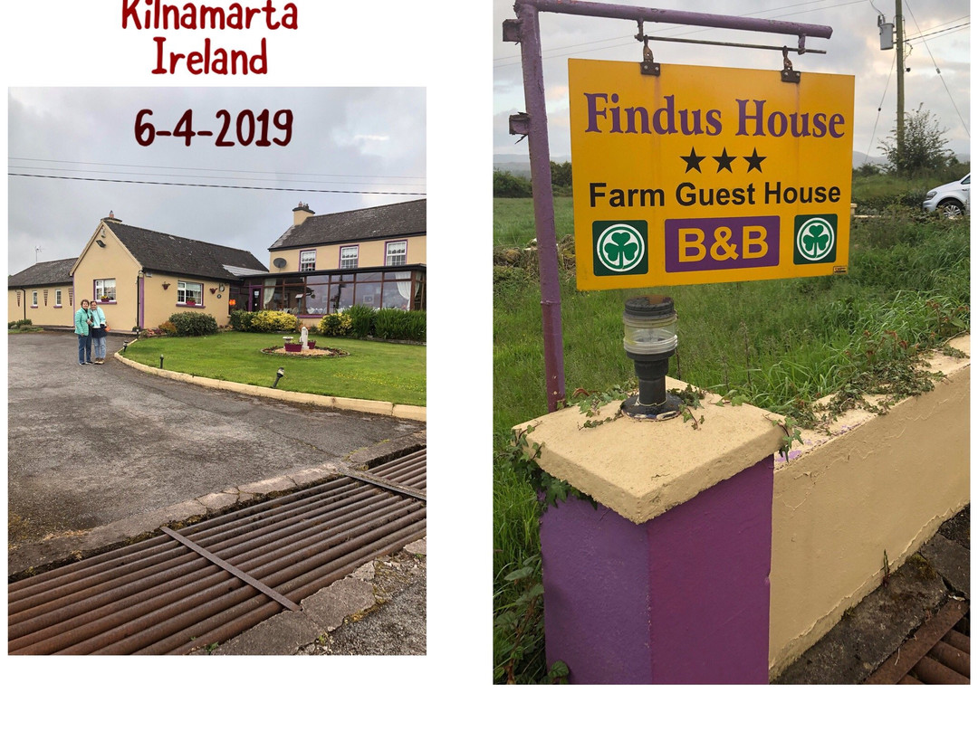 Findus House主图