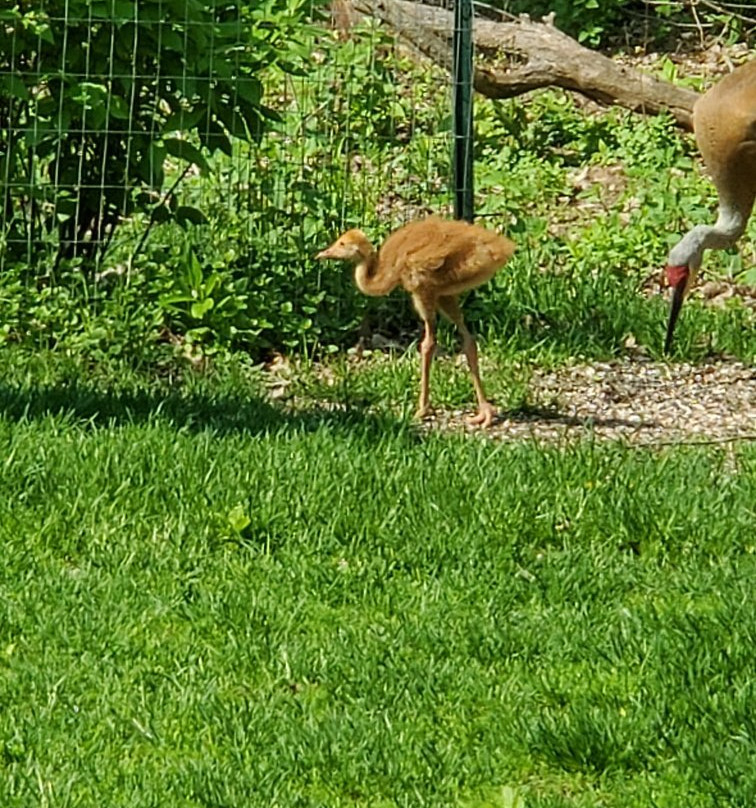 Heckrodt Wetland Reserve-Menasha必去景点