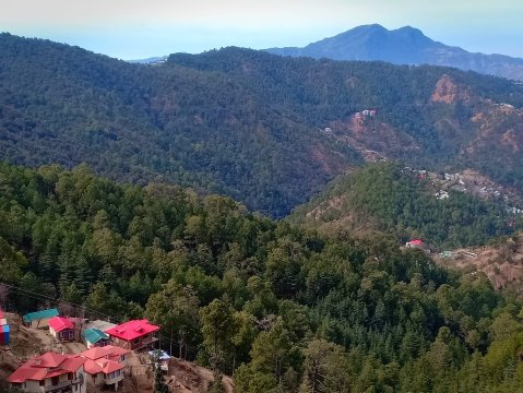 酒店舒适庄园-酒店景观