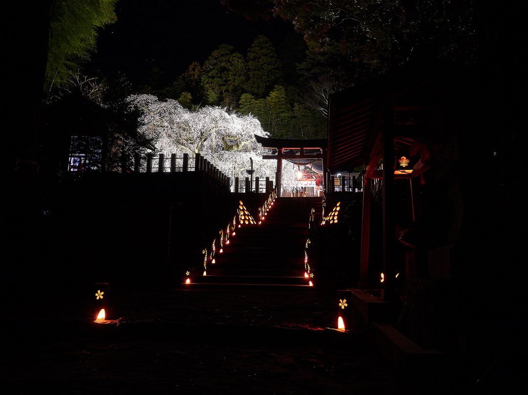 Ogawa Suwa Shrine景点图片
