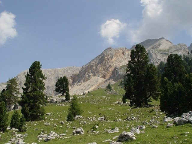 Forcella Lerosa-科尔蒂纳丹佩佐必去景点