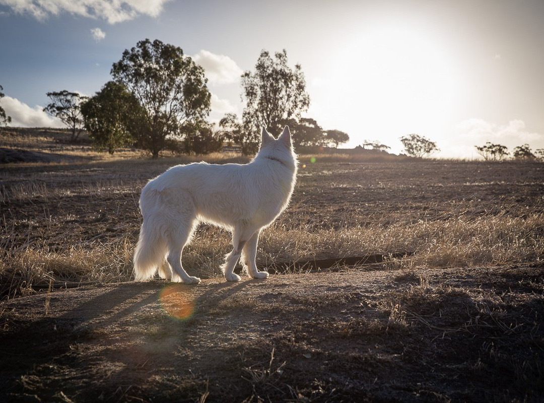 Hillside Country Retreat主图