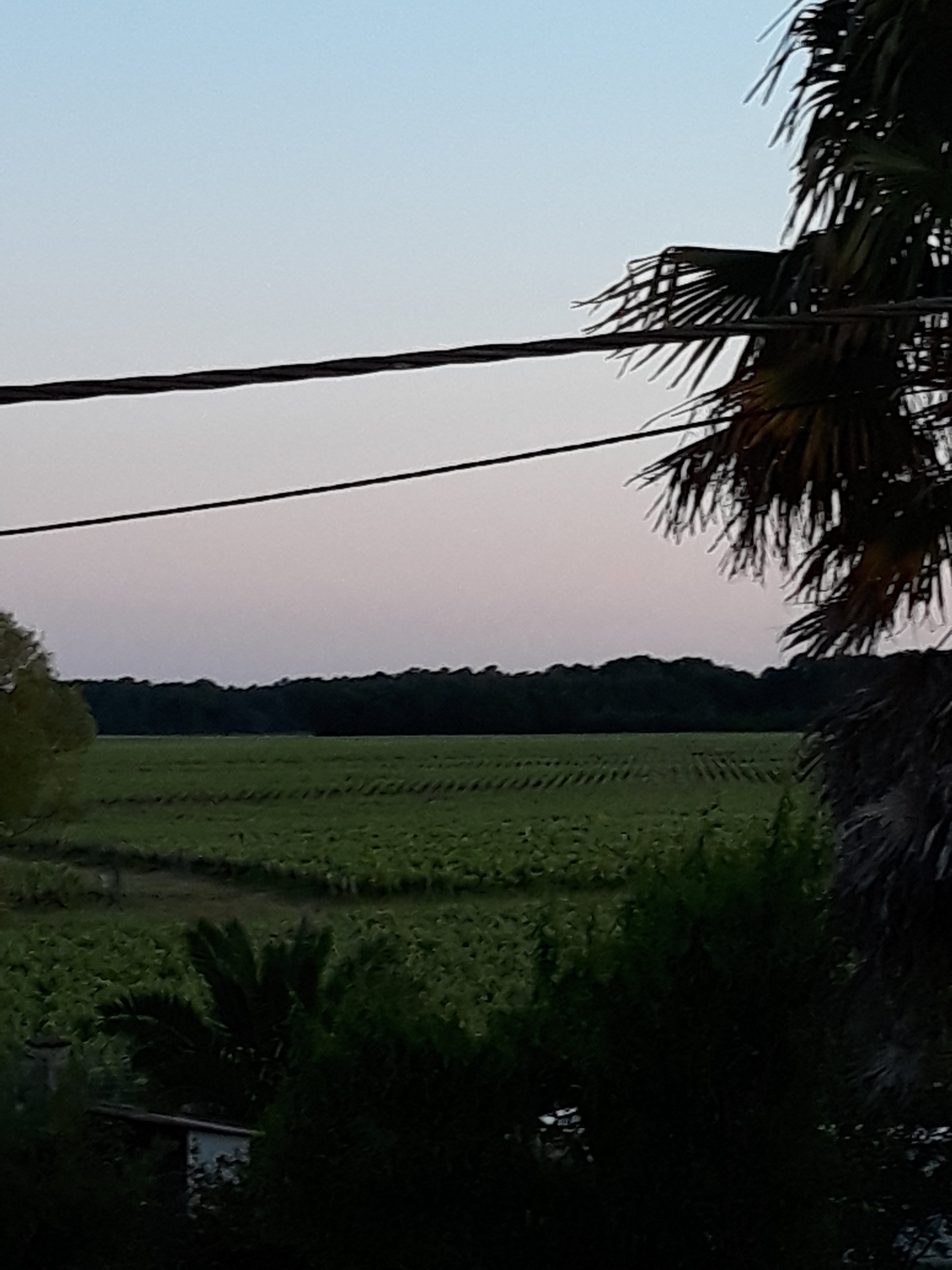 Chateau le Souley-官方