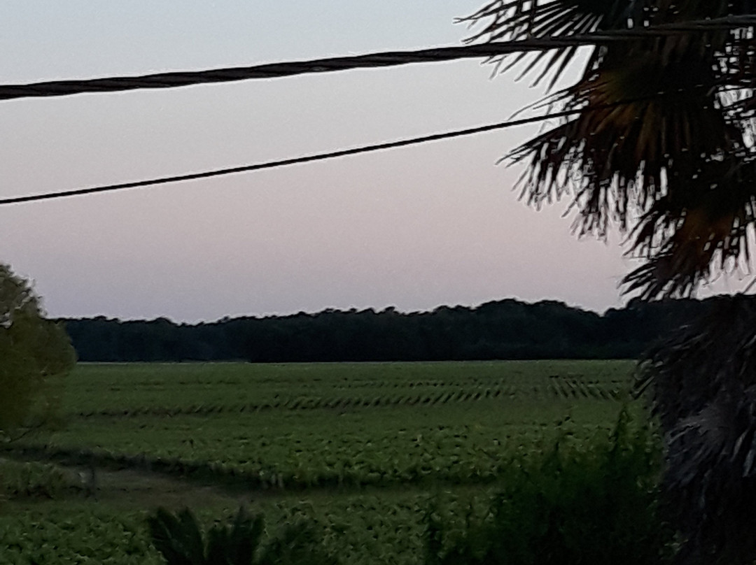 Chateau le Souley主图