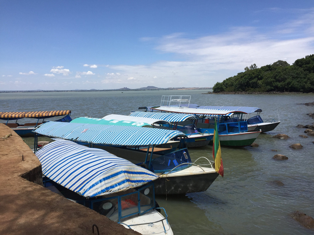 Tankwa Tours & Travel Agency-巴哈尔达尔必去景点