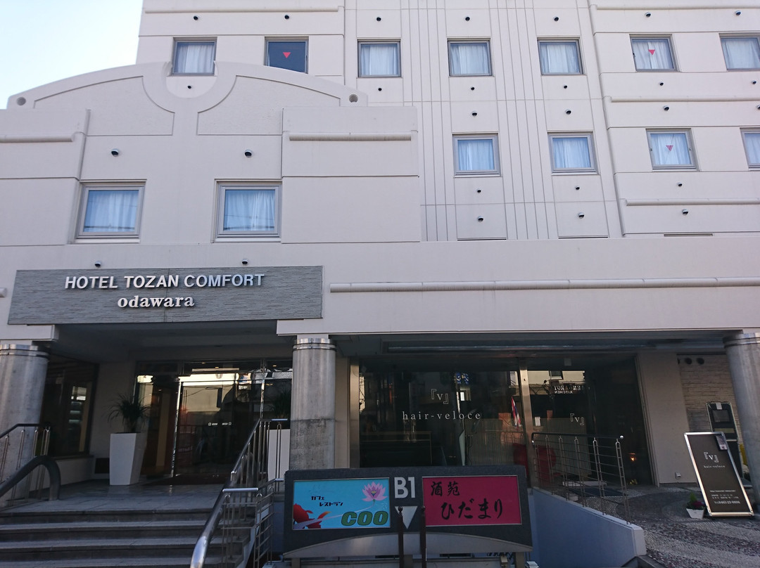 Hotel Tozan Comfort Odawara主图