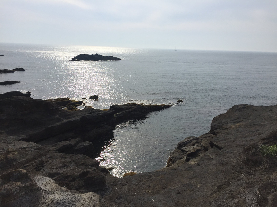 Taibusamisaki Nature Park-南房总市必去景点