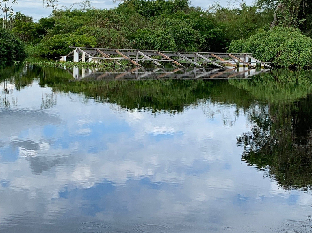 Rio Mamore-Guajara-Mirim必去景点