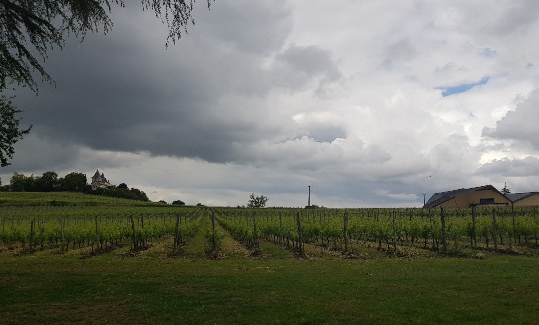 Chateau Richelieu主图