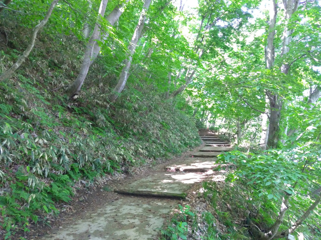 The Ruins of Murakami Castle-村上市必去景点