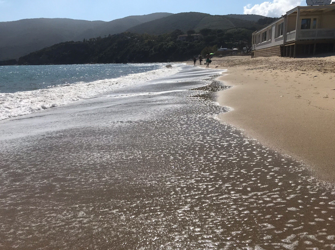 Spiaggia di Lacona景点图片